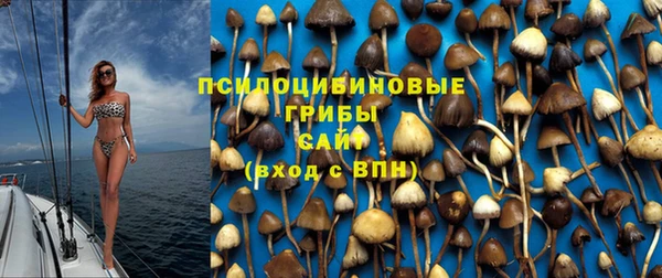 соль курить ск Зерноград