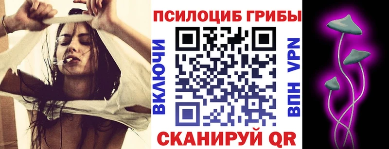 Купить закладки  Каспийск  Галлюциногенные грибы прущие грибы 